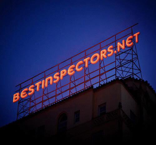 Best Inspectors Network