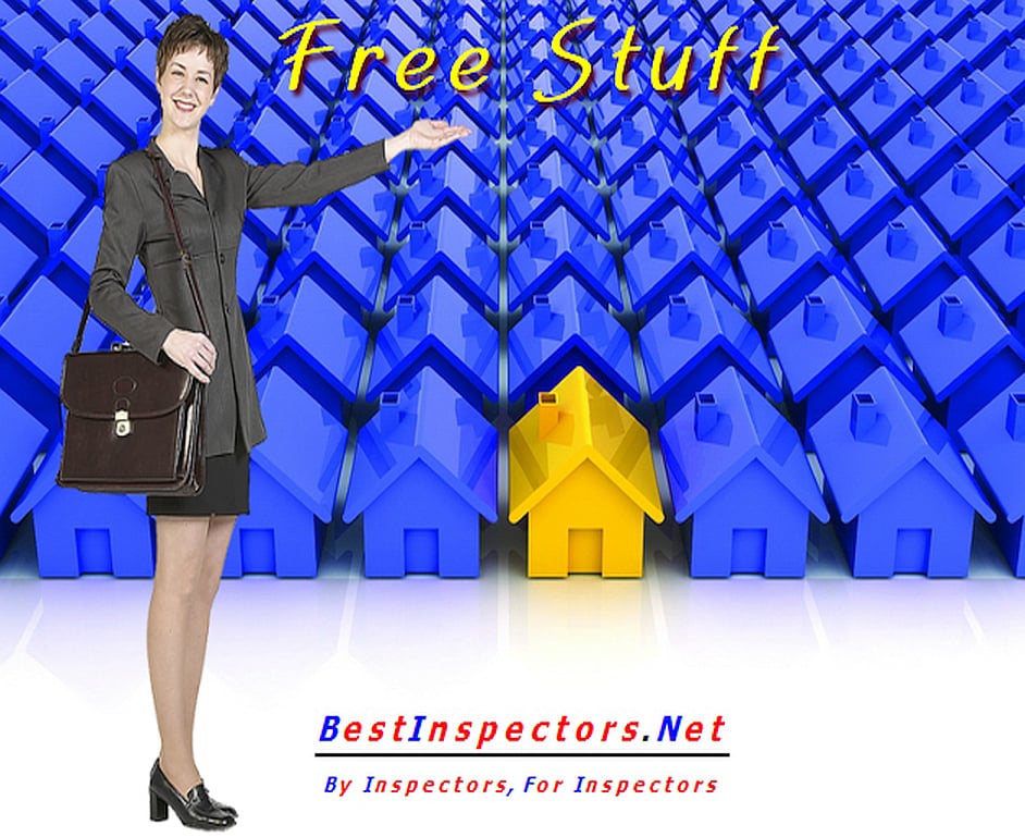 Best Inspectors Network